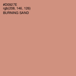 #D0927E - Burning Sand Color Image